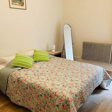 Appartement Cosy Кольмар Экстерьер фото