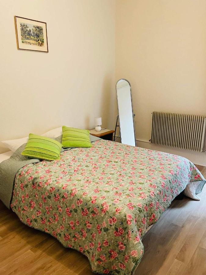 Appartement Cosy Кольмар Экстерьер фото